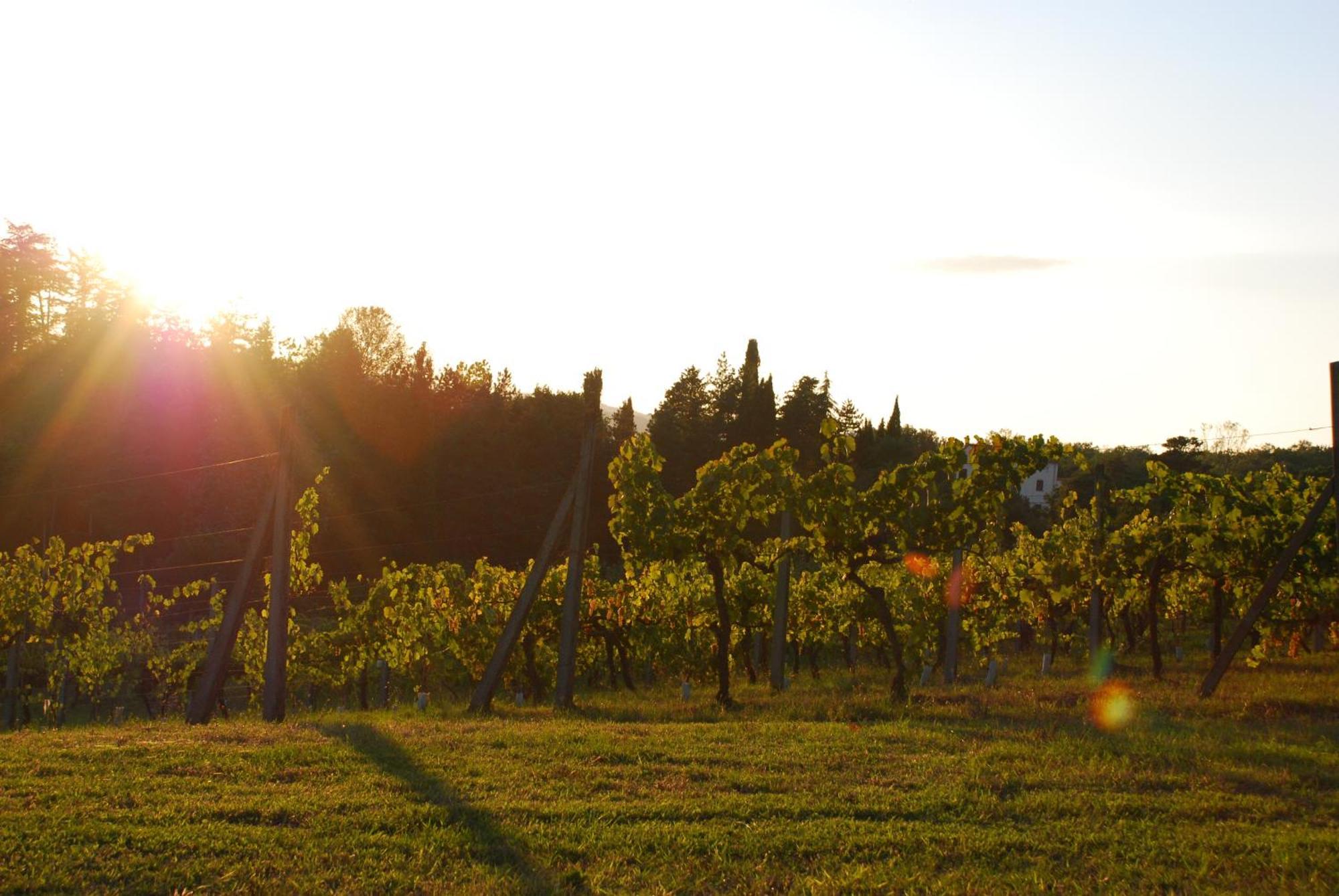 Agriturismo Il Sasso Anghiari Luaran gambar
