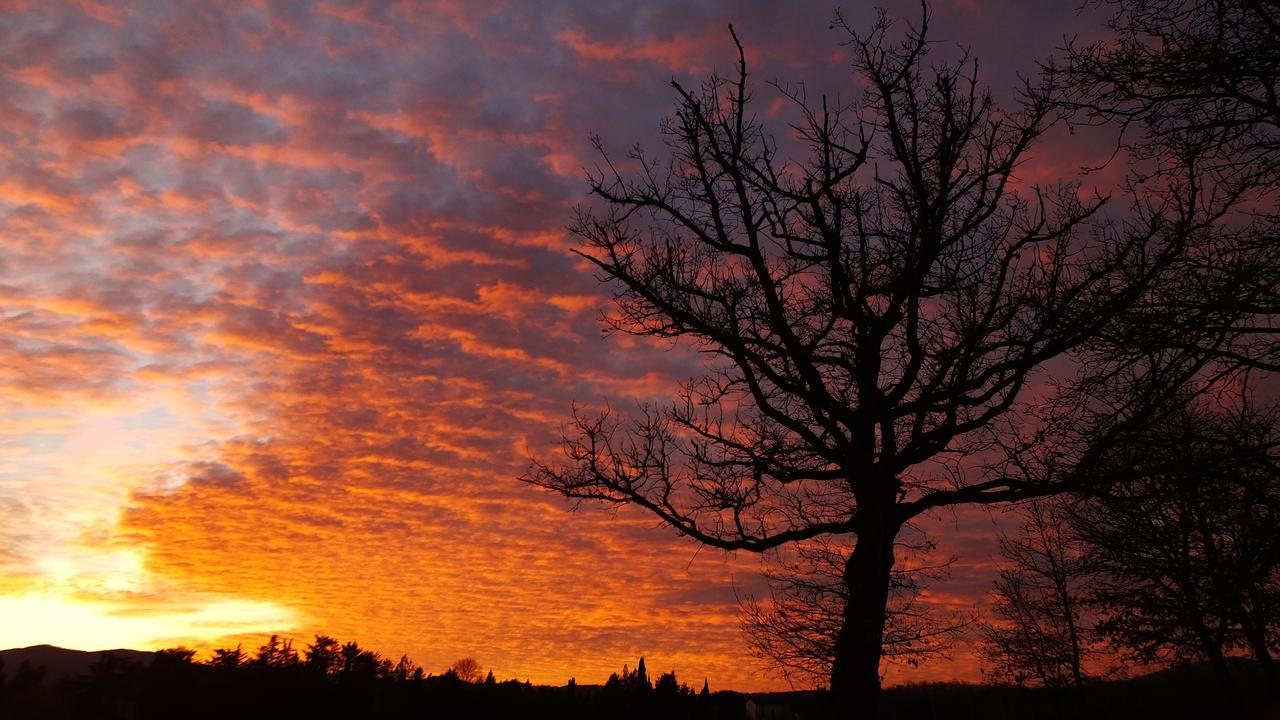 Agriturismo Il Sasso Anghiari Luaran gambar